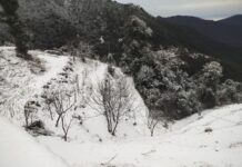 भारी बर्फबारी के बीच गौमुख ट्रैक से ट्रेकर्स की वापसी शुरू