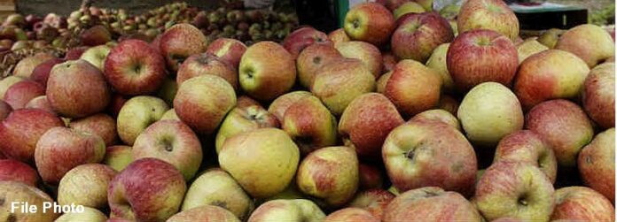 apple