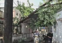 मसूरी में आंधी—तूफान से भारी तबाही