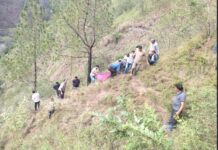 वाहन खाई में गिरा, 4 की मौत, 4 घायल