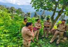 आंगनबाड़ी कार्यकर्ता और बीएलओ का शव मिलने से सनसनी