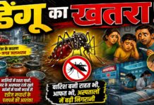 बारिश के बीच डेंगू का बढ़ता खतरा, हाई अलर्ट पर प्रशासन