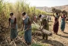 दिहाड़ी बचाने के लिए हजारों महिलाओं ने निकलवाया गर्भाशय