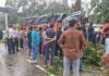 ट्रक पेड़ से टकराया, सहचालक की मौत, चालक घायल